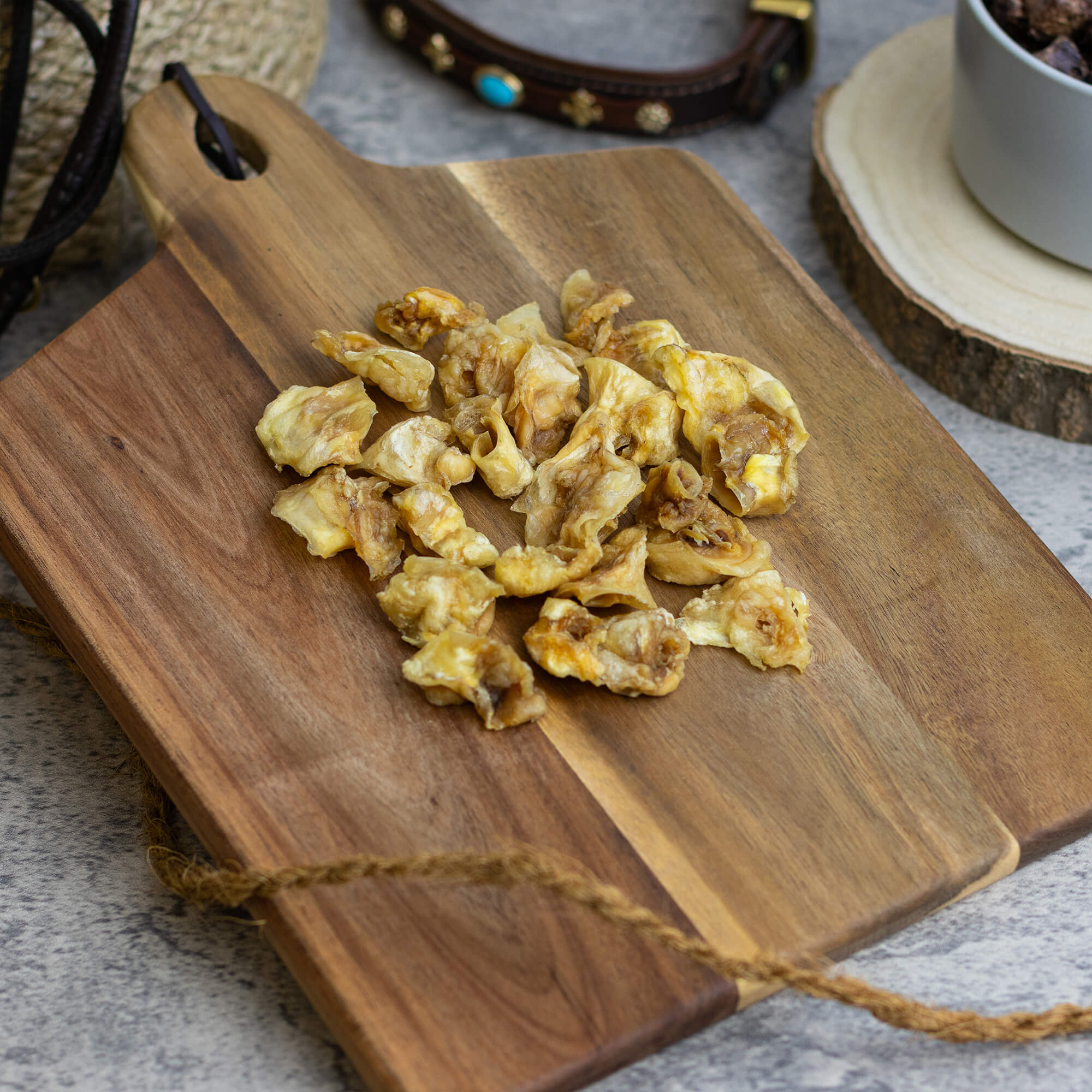 Kaninchenohrmuscheln ohne Fell