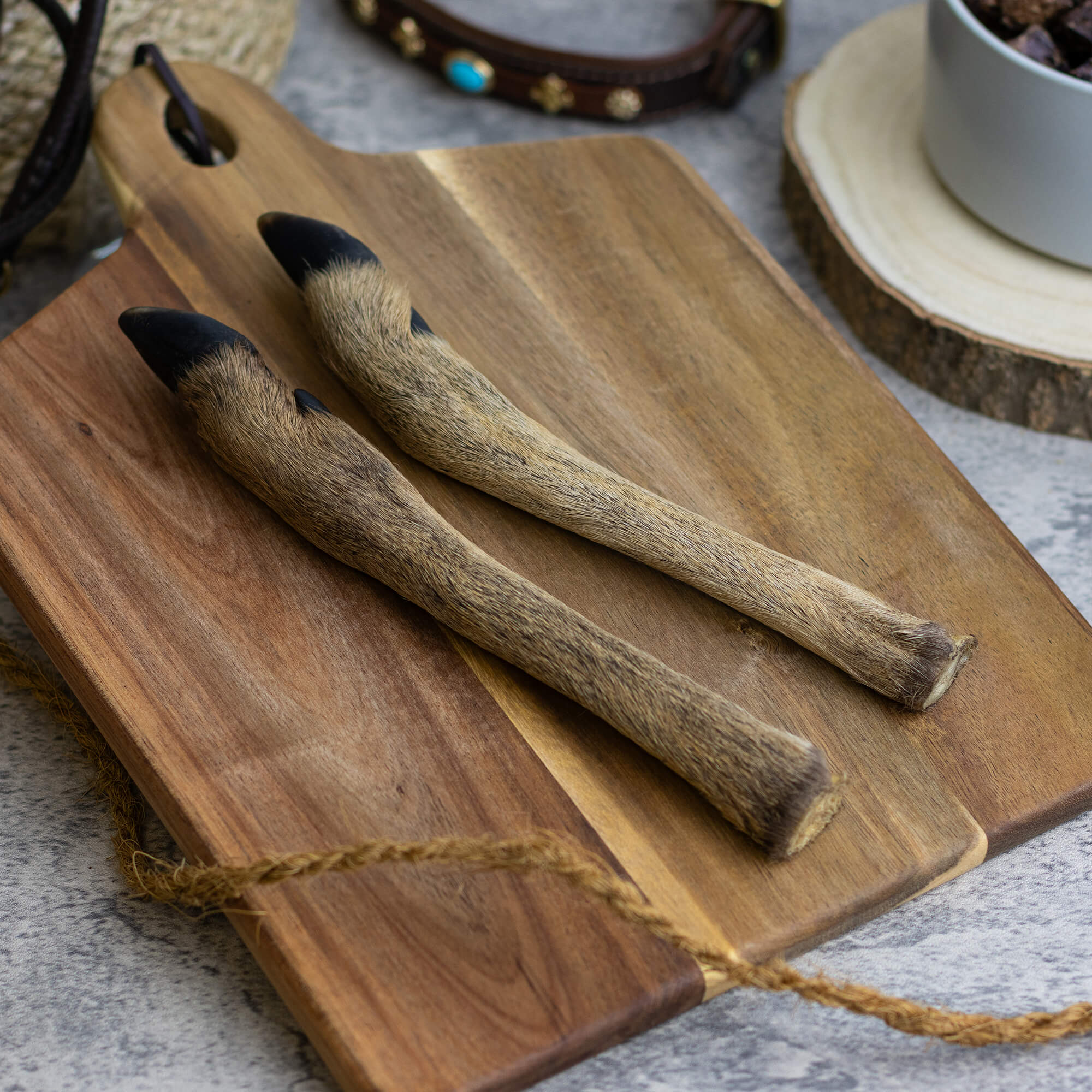 Rehunterbein mit Huf & Fell