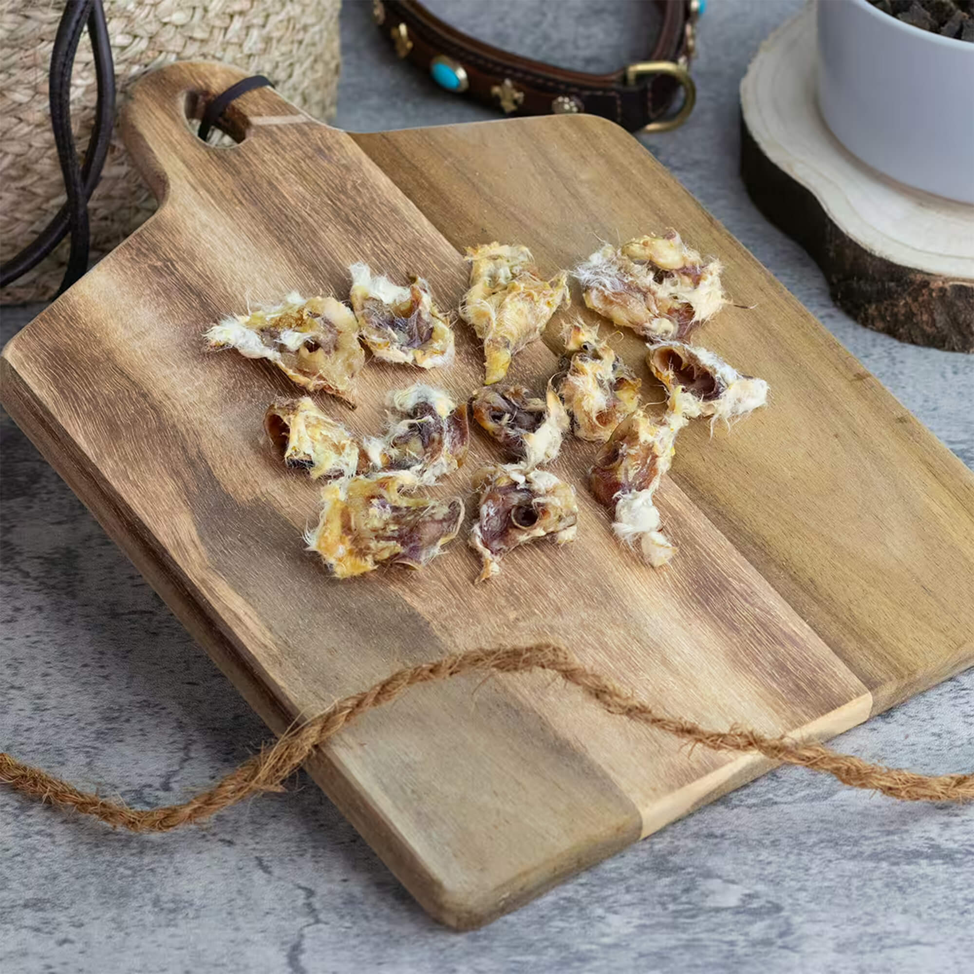 Kaninchenohrmuscheln mit Fell