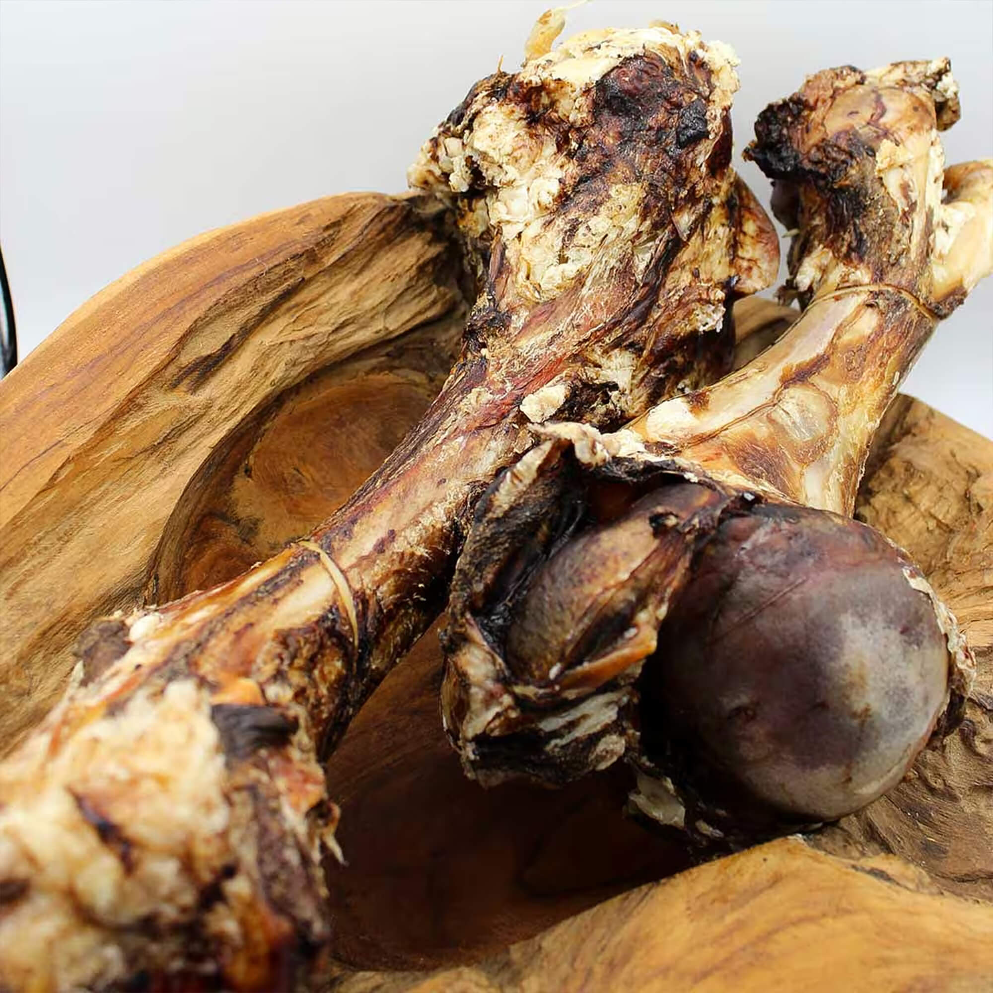 Röhrenknochen vom Rind getrocknet