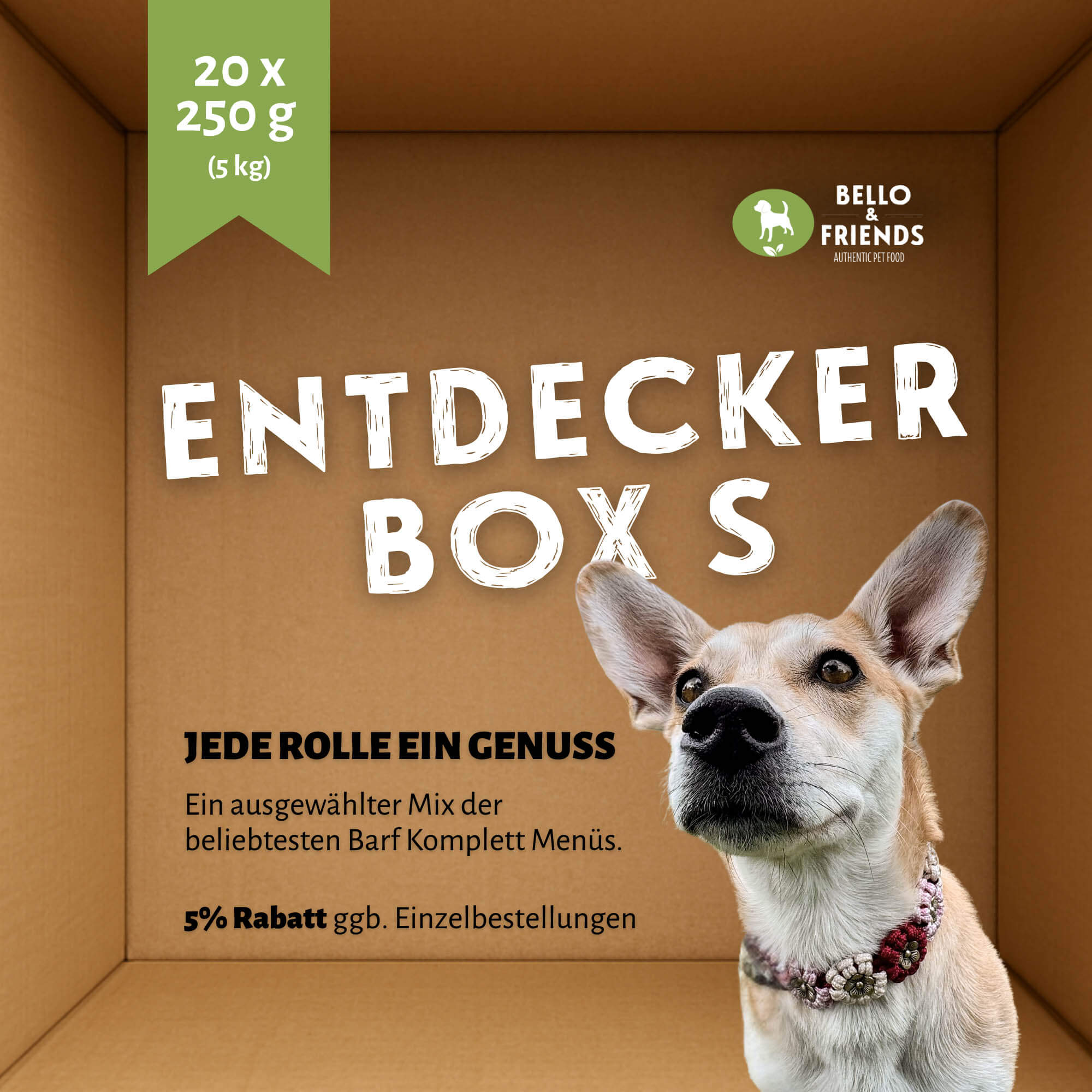 Entdeckerbox | Complete Menü