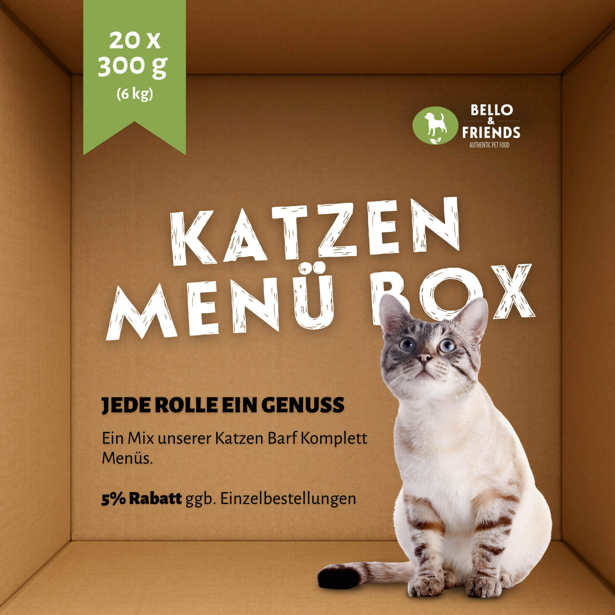 Entdecker Box Katzen Barf